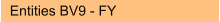 Entities BV9 - FY