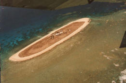 Willis from above