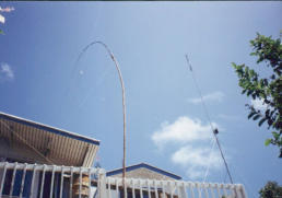 Invereted L for 160m and R5 vertical in the corner of Tom and Betty's house.