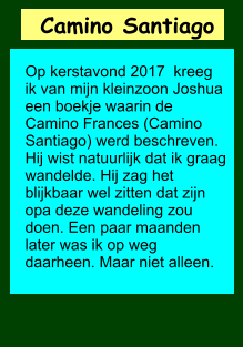 Camino Santiago   Op kerstavond 2017  kreeg ik van mijn kleinzoon Joshua een boekje waarin de Camino Frances (Camino Santiago) werd beschreven. Hij wist natuurlijk dat ik graag wandelde. Hij zag het blijkbaar wel zitten dat zijn opa deze wandeling zou doen. Een paar maanden later was ik op weg daarheen. Maar niet alleen.