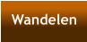 Wandelen
