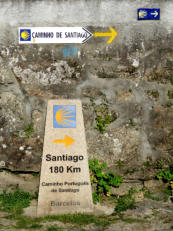 Paaltjes genoeg. Te veel van het goede