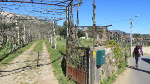 Dwaalspoor of niet. Heb vertrouwen in de gids