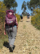 Samen met nog 80.000 gekken naar het noorden