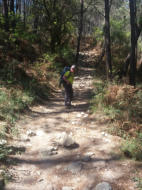 Wino loopt soms voorop