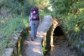 Camino is wandelen
