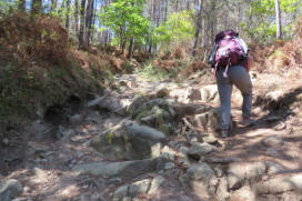 Camino is marteling voor voeten