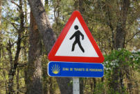 Camino is overstekend wild