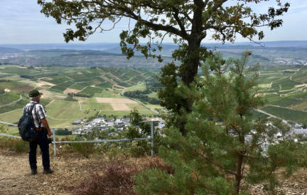 Wino aan de wandel in het gebied van de Moezel (foto Joop de Krom)