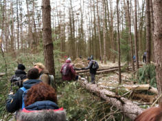 Klunen door het bos, avontuurlijk