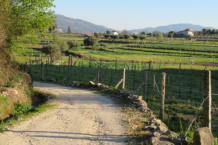 Caminho Portuguez\ Interior