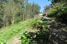 Wandelen in de tuinen