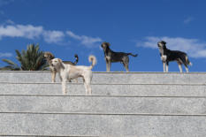 Kasbah museum Amridil