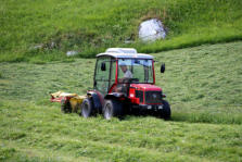 Grasmaaier in Köfels