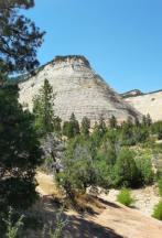 Checkerbord Mesa, Zion