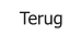 Terug