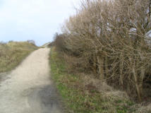 Het duinpad ging nog hoger 