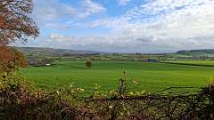 10: IMG-20241117-WA0002