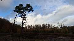 11: IMG-20241117-WA0008