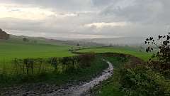 15: IMG-20241117-WA0016