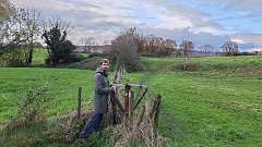 17: IMG-20241117-WA0020