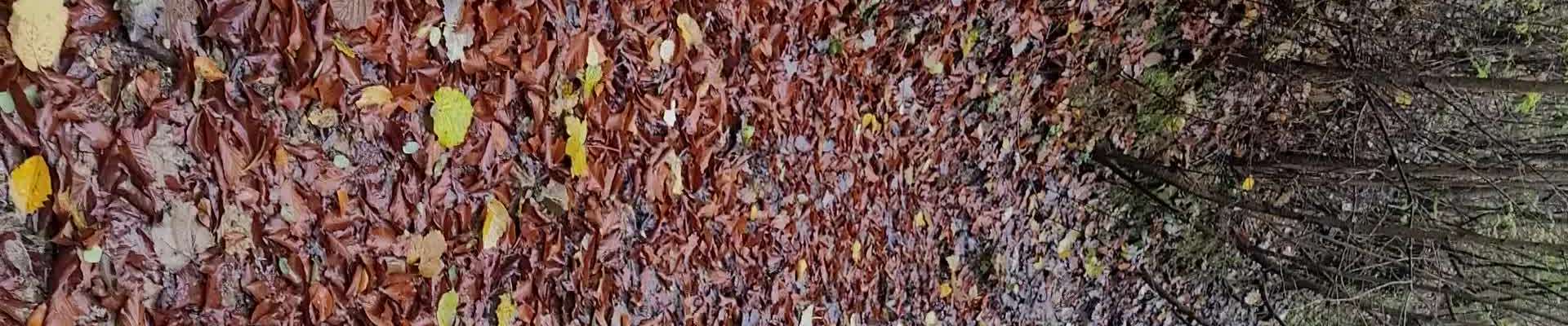 Klik om de knoppen te tonen of te verbergen