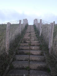 Over de Oosterscheldedijk