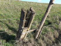 Eerste hulp van een gebroken balk