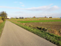 Het einde van de wandeling nadert