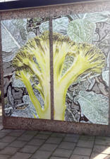 Welke groente is dit?