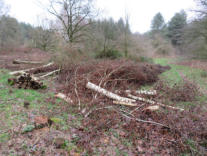 Wie ruimt de boel op