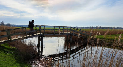 Wino gaat naar een ander weiland