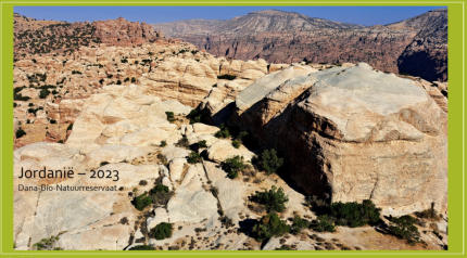 Jordanië, Dana reservaat