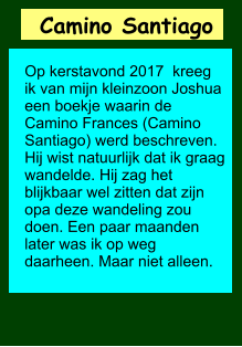 Camino Santiago   Op kerstavond 2017  kreeg ik van mijn kleinzoon Joshua een boekje waarin de Camino Frances (Camino Santiago) werd beschreven. Hij wist natuurlijk dat ik graag wandelde. Hij zag het blijkbaar wel zitten dat zijn opa deze wandeling zou doen. Een paar maanden later was ik op weg daarheen. Maar niet alleen.